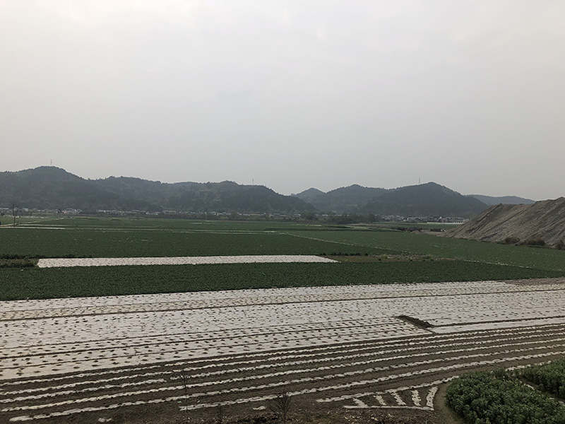 市、縣領導現(xiàn)場調研天馬50萬噸玻瓶項目(圖7)